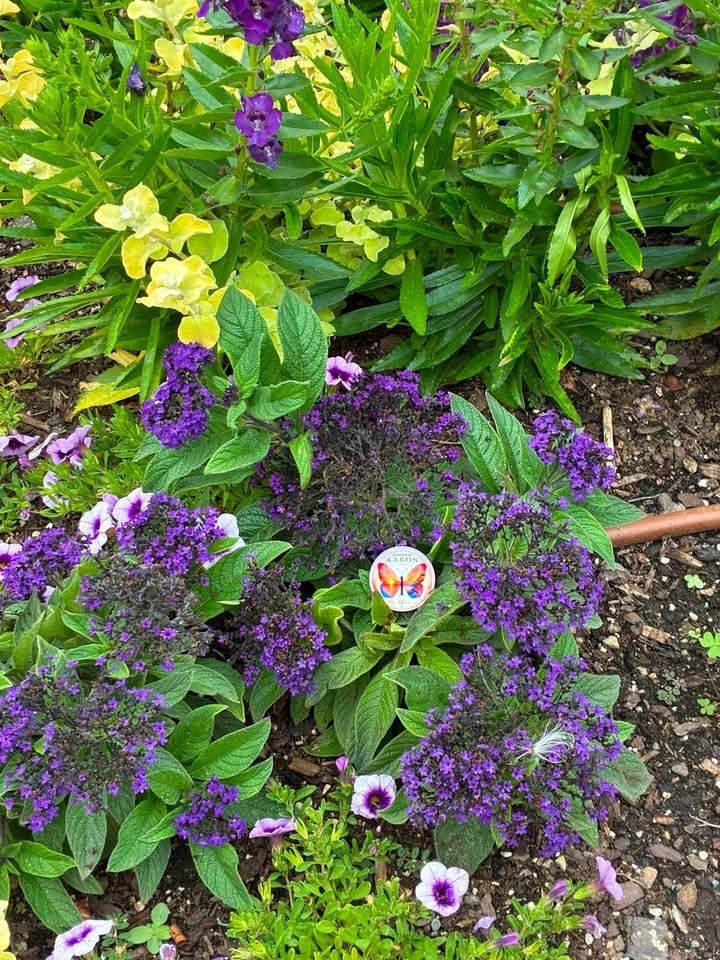 Aaron’s “Be The One” Memorial Butterfly